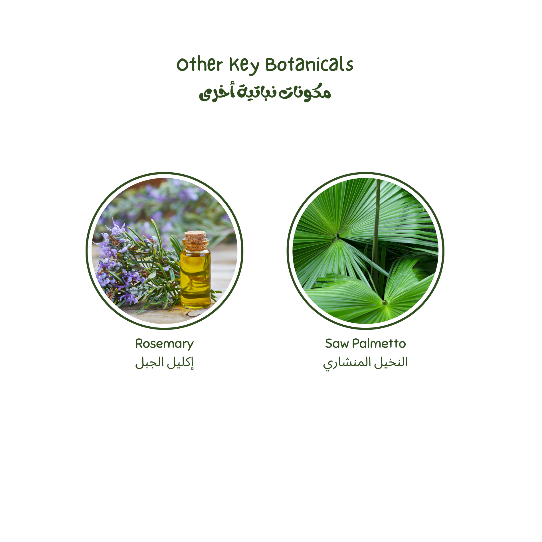 Two circular images of rosemary and saw palmetto with text labels on a white background. Luminneal5 Essential 9 hair Oil.